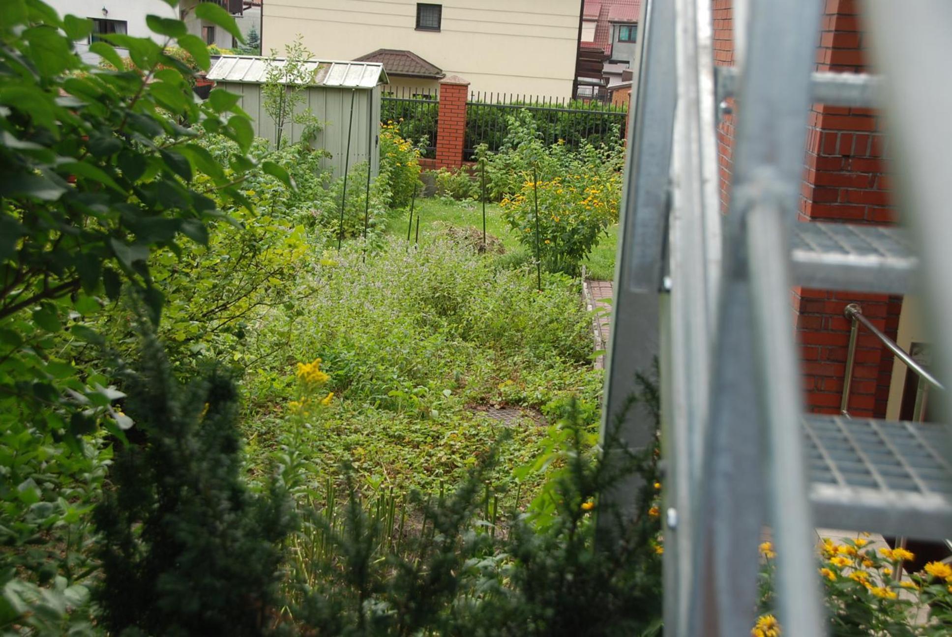 Beautiful With Terrace In Near Forest * Warszawa