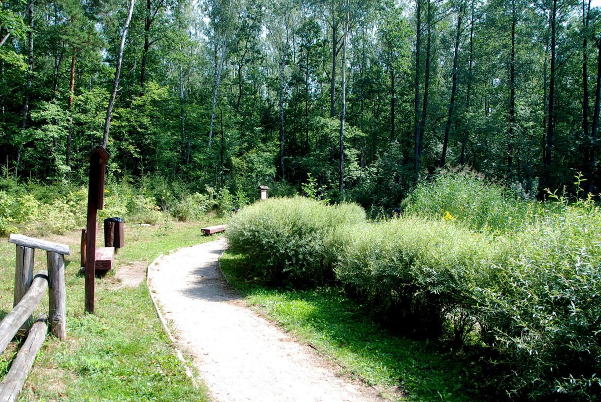 Beautiful With Terrace In Near Forest Apartament